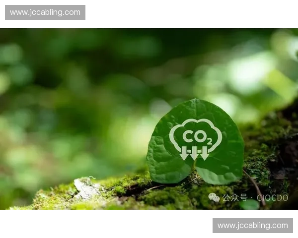 体育生态化发展：推动绿色可持续体育产业与环境和谐共生的路径探讨