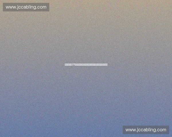 以体育赛事IP为核心驱动的城市文化商业融合新模式探索发展路径