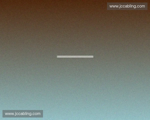 聚焦体育职业联盟合规委员会治理创新与行业规范发展新路径探索